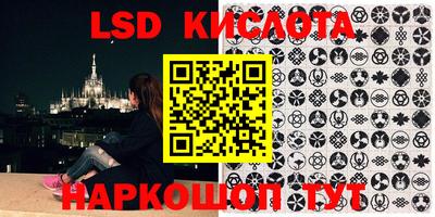 a pvp Славгород