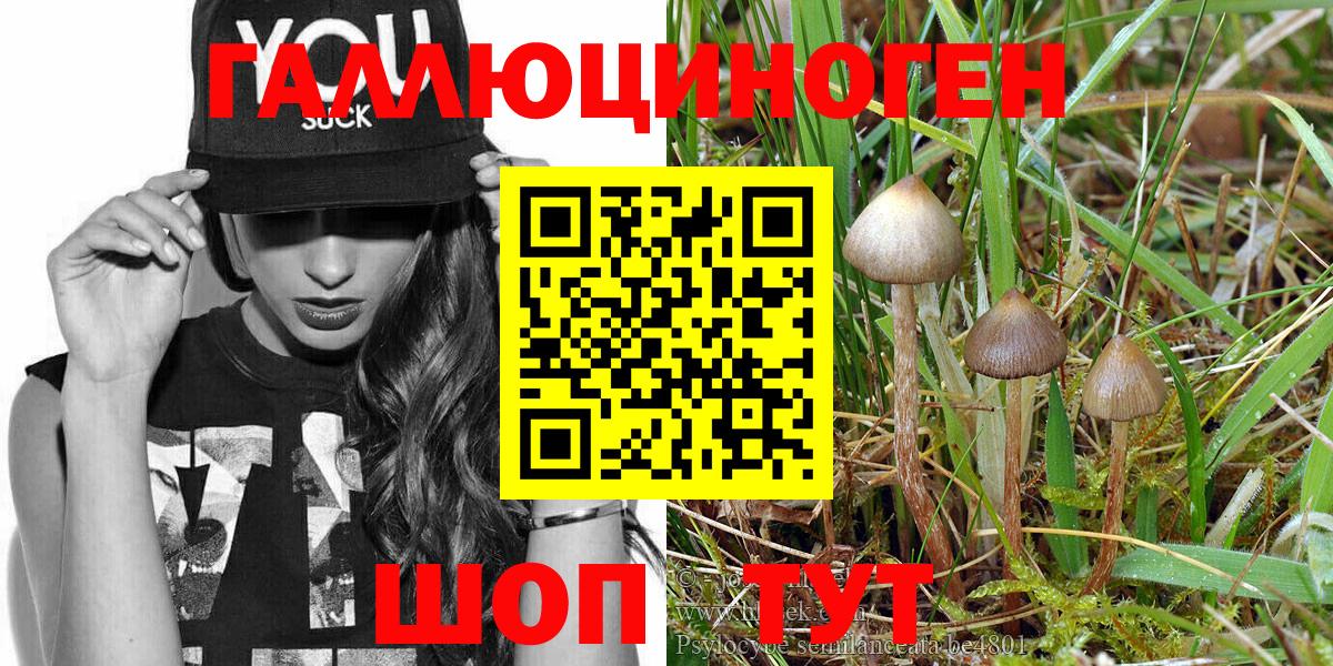 Галлюциногенные грибы Magic Shrooms Санкт-Петербург